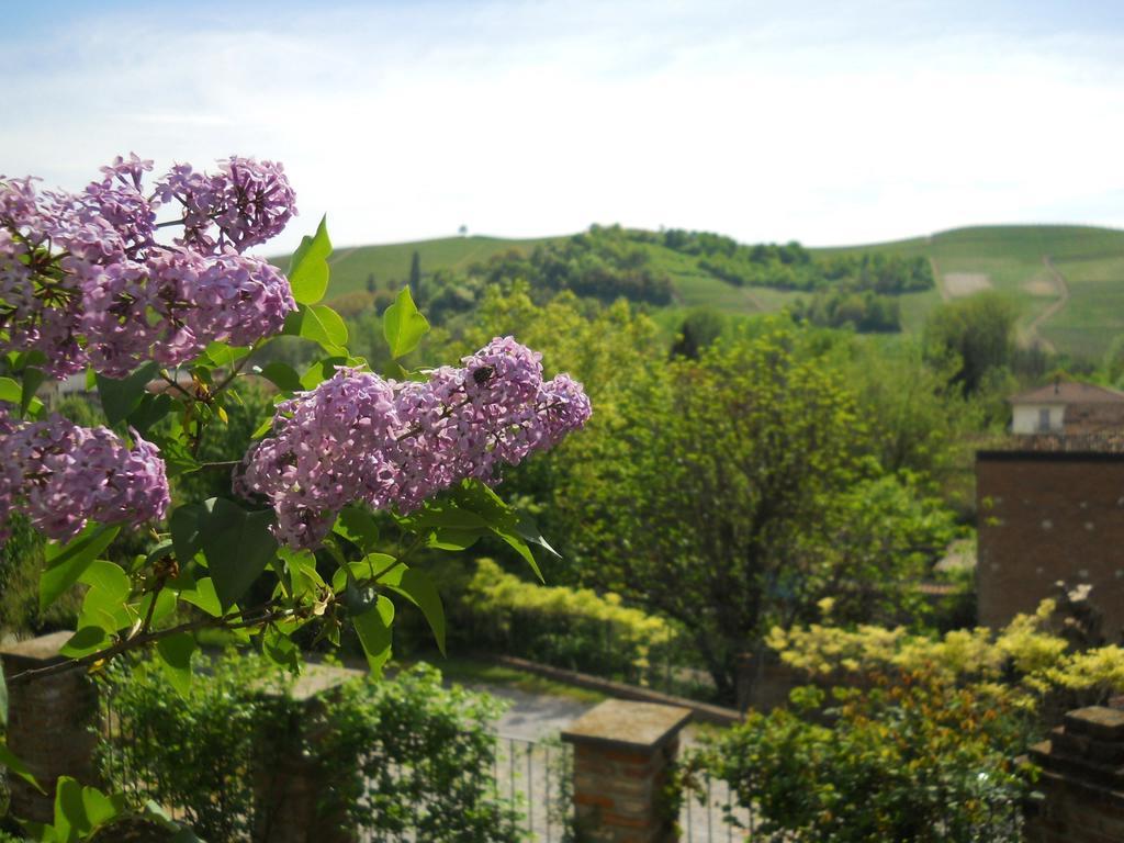 Tenuta Calabiana Diano dʼAlba Habitación foto