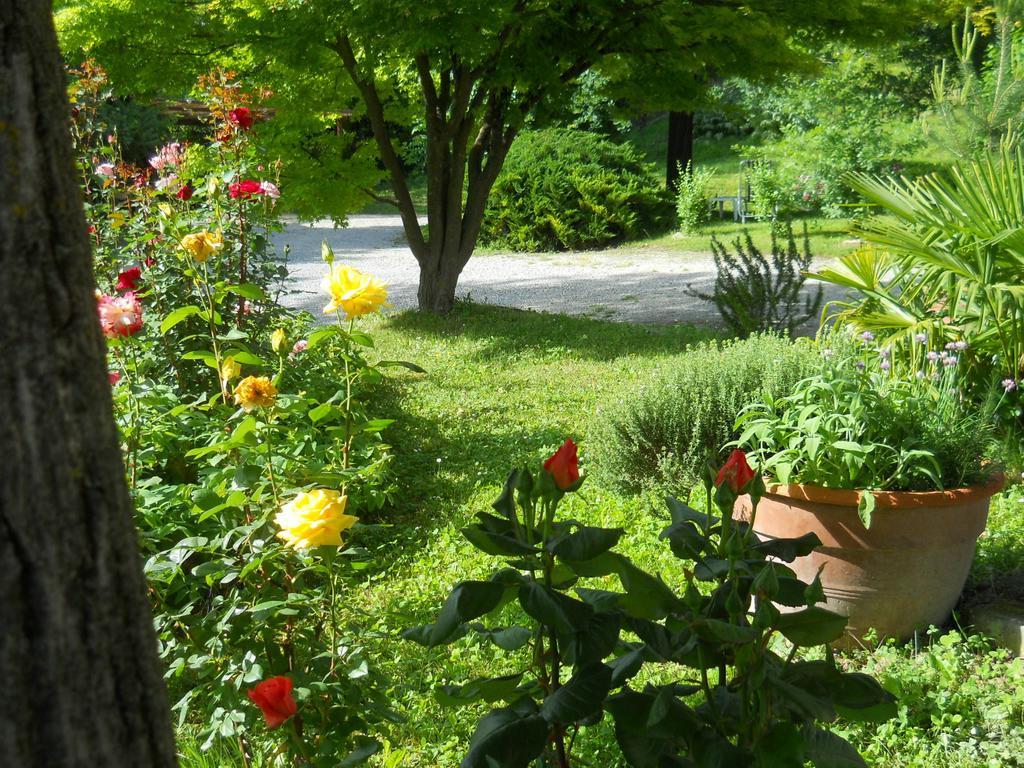 Tenuta Calabiana Diano dʼAlba Habitación foto